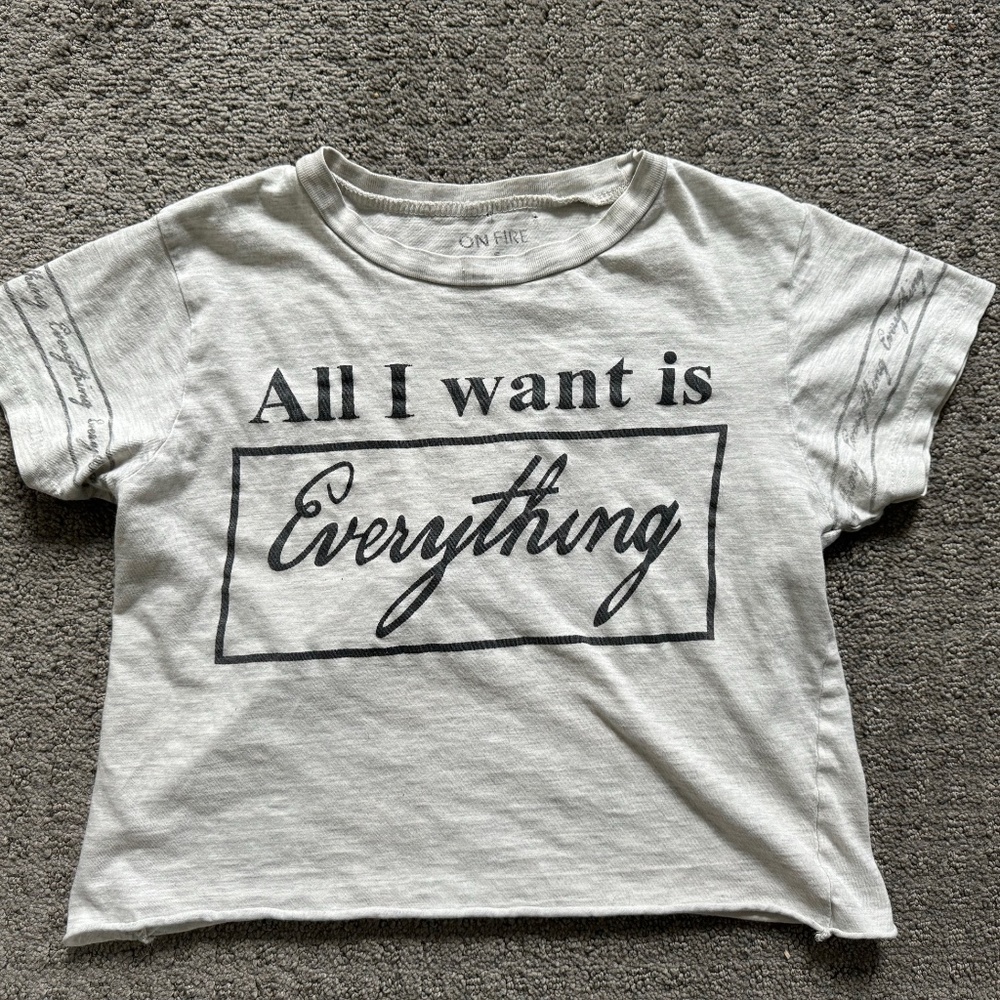 All I Want Is Everything - t-shirt